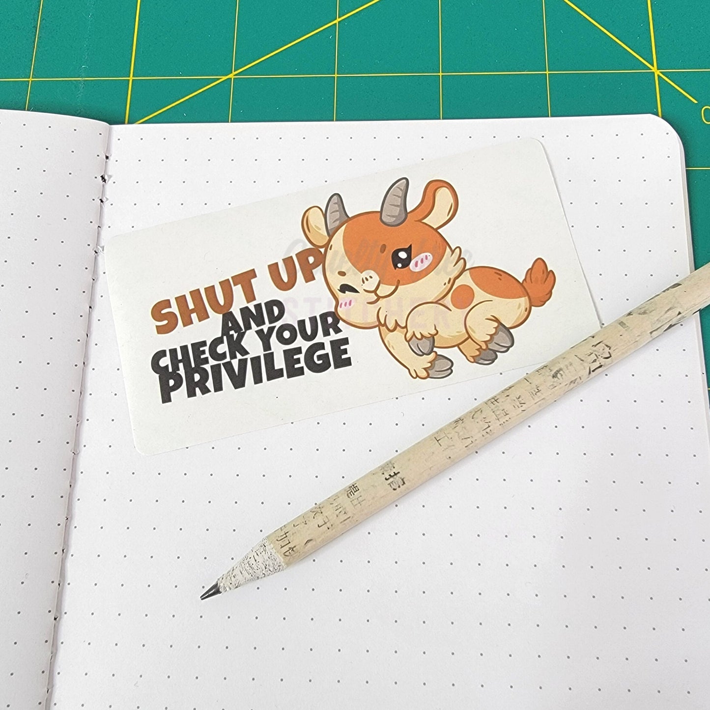 Check Your Privilege Sticker
