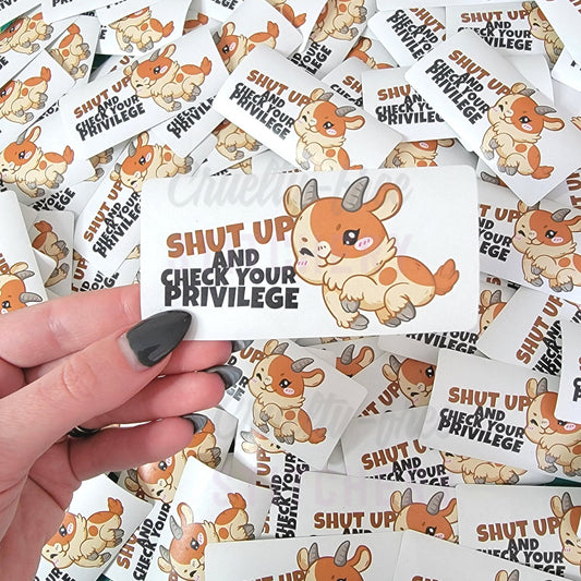 Check Your Privilege Sticker