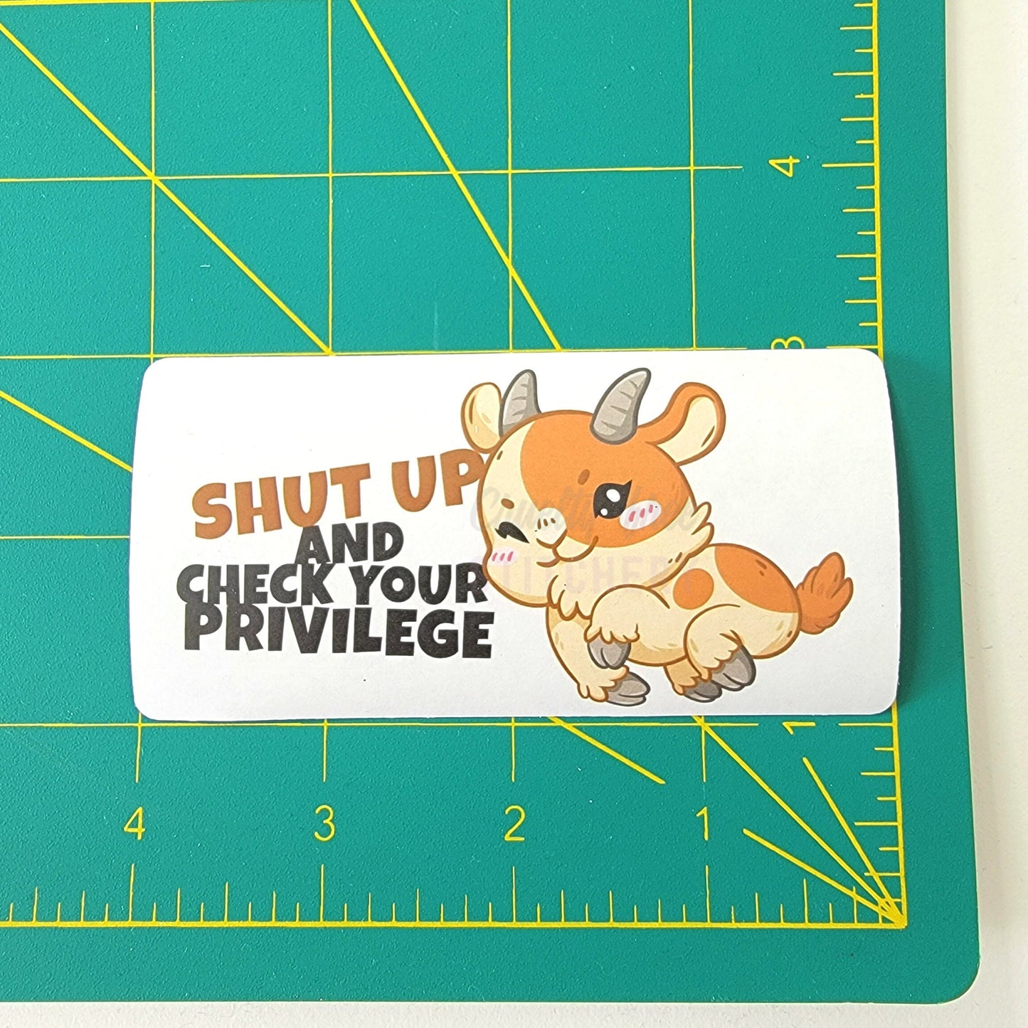 Check Your Privilege Sticker