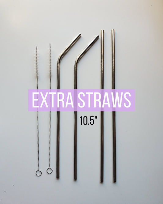 Stainless Steel Straws 10.5" - Individually or as Set