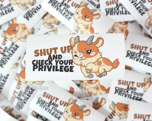 Check Your Privilege Sticker